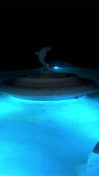 Underwater TROPICAL BLUE LED Light